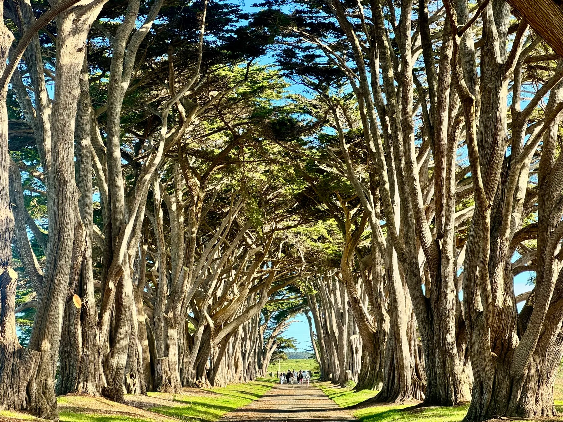 Around the Bay — photograph 5
