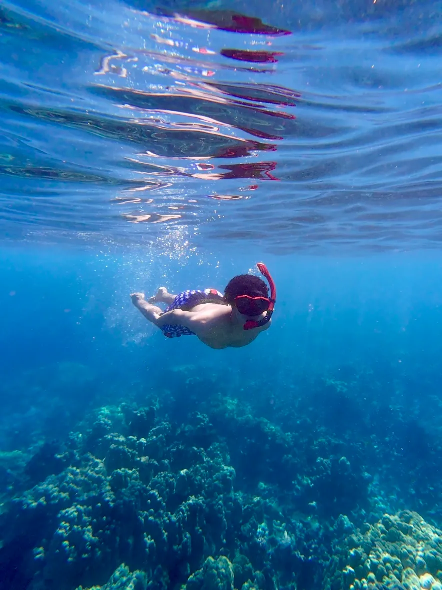 Hawaii — photograph 2