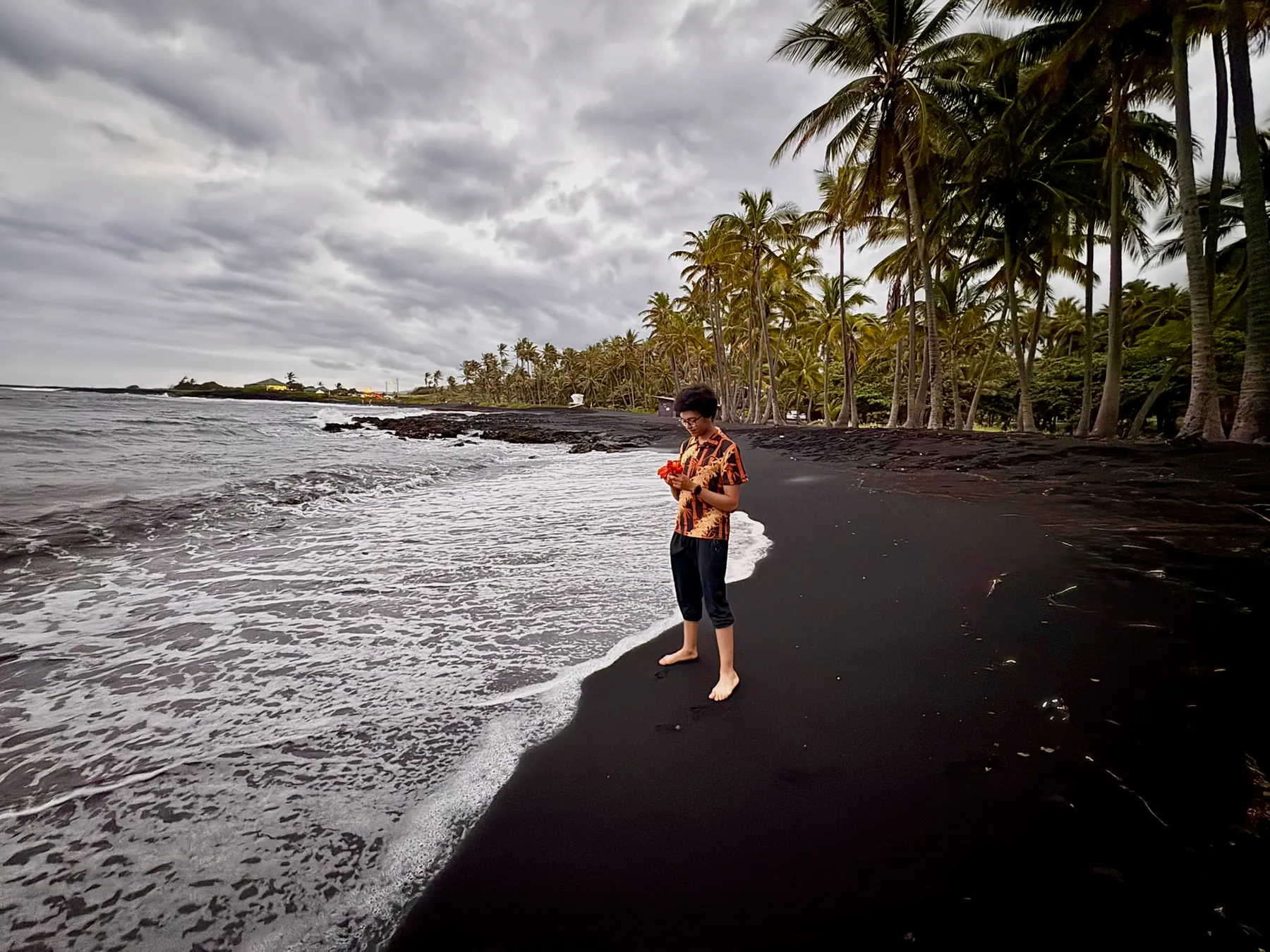Hawaii — photograph 11