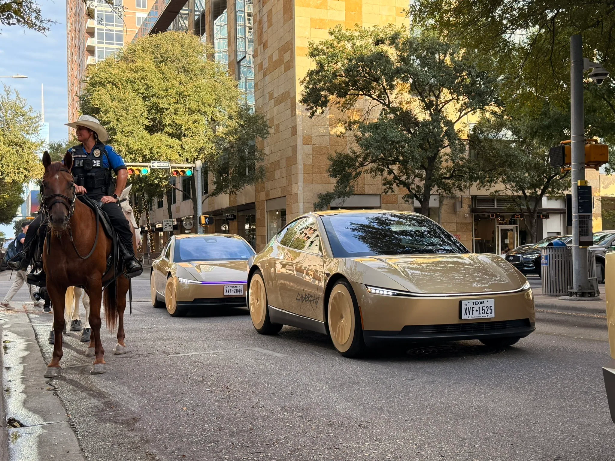 Longhorn nation — photograph 3