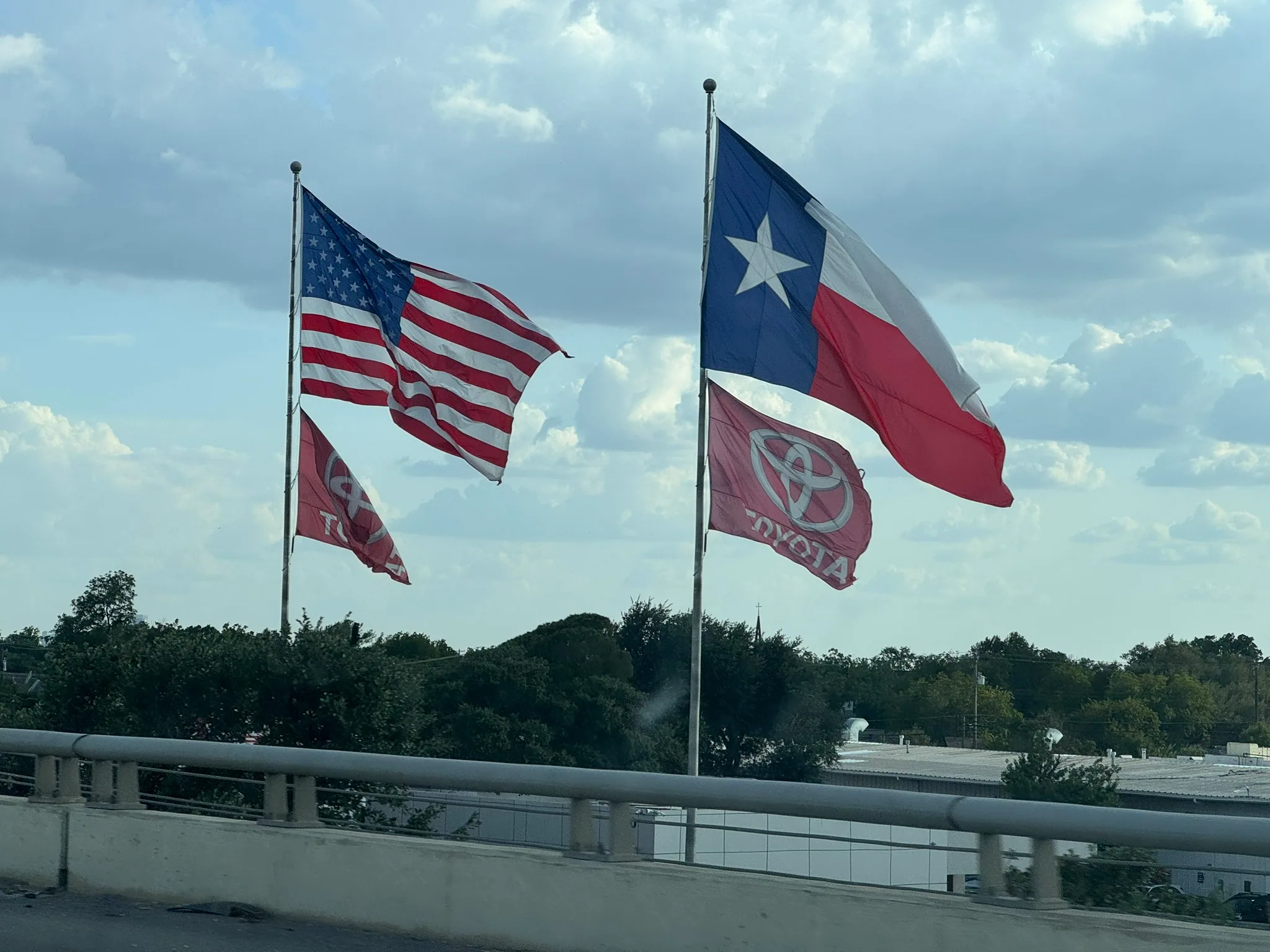 Longhorn nation — photograph 4