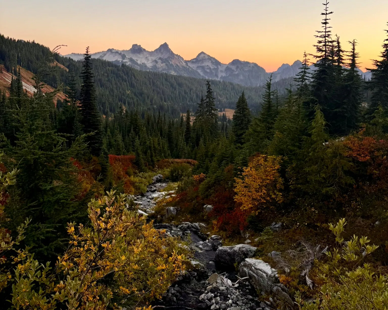 After-school Rainier trip — photograph 7