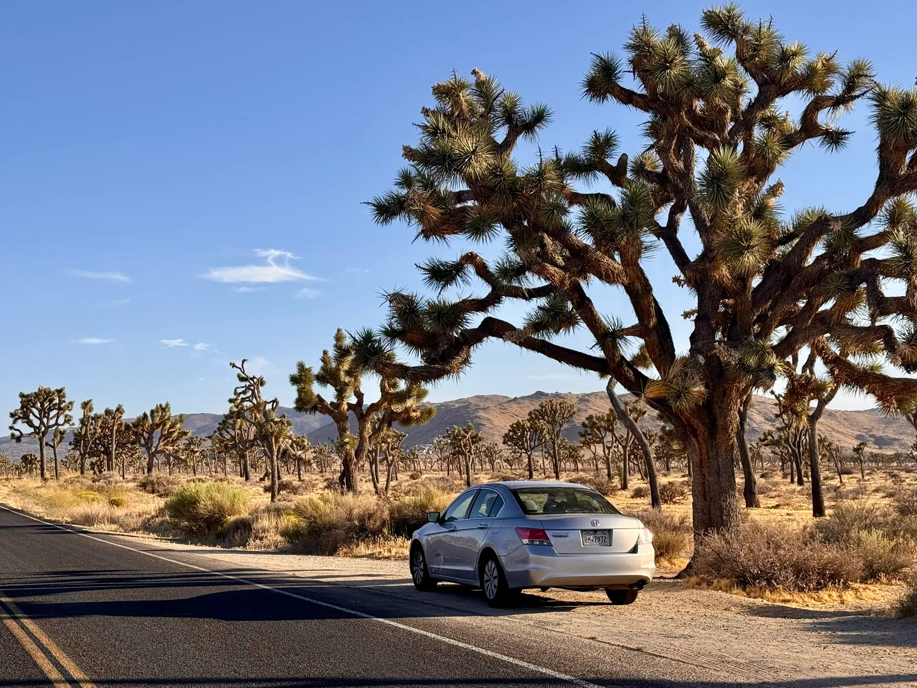 The big road trip — photograph 1
